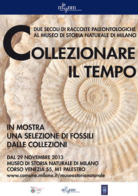 Fossili / Tempo