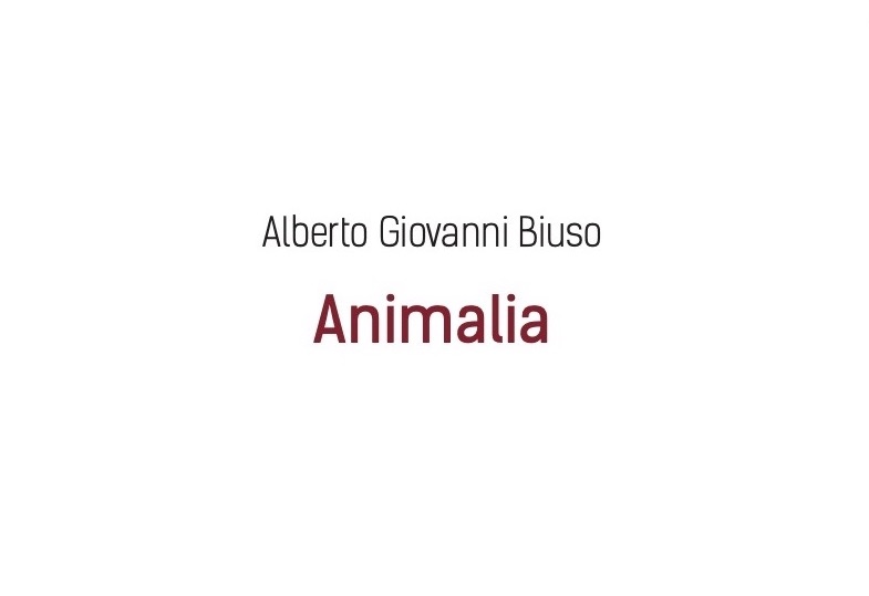 Animalia